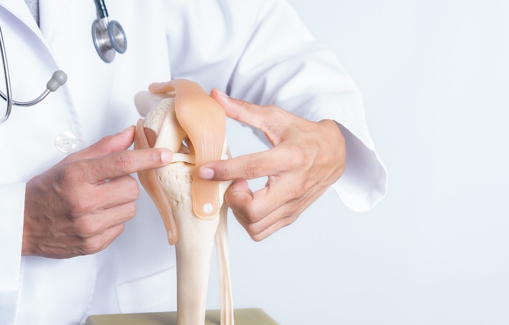 Closeup,,Professional,Doctor,Pointed,On,Area,Of,Model,Knee,Joint.